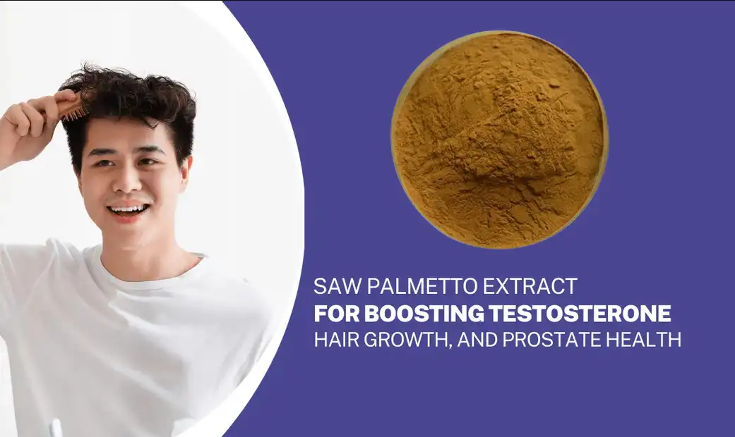 How to Use Saw Palmetto Extract Make Man Health Better?